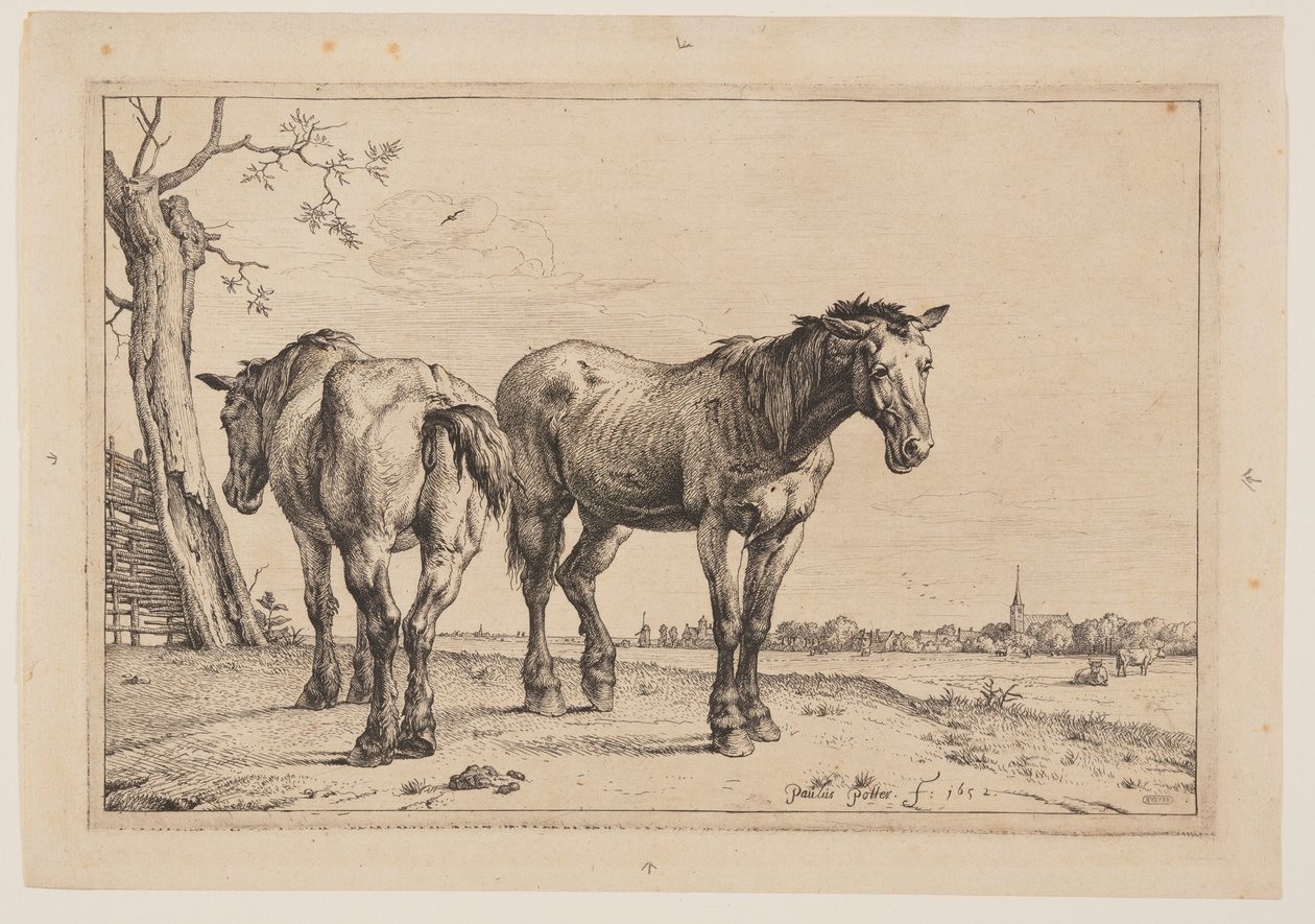 Het Ploegpaard, uit Serie Paarden door Paulus Potter