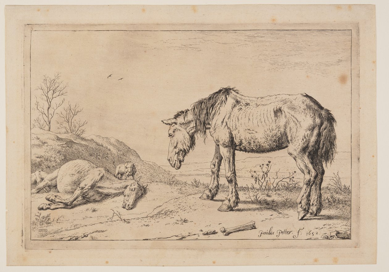 Het versleten paard, (La Mazette), uit Serie paarden door Paulus Potter