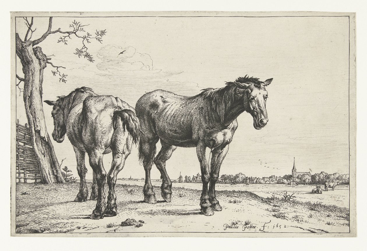Twee ploegpaarden door Paulus Potter