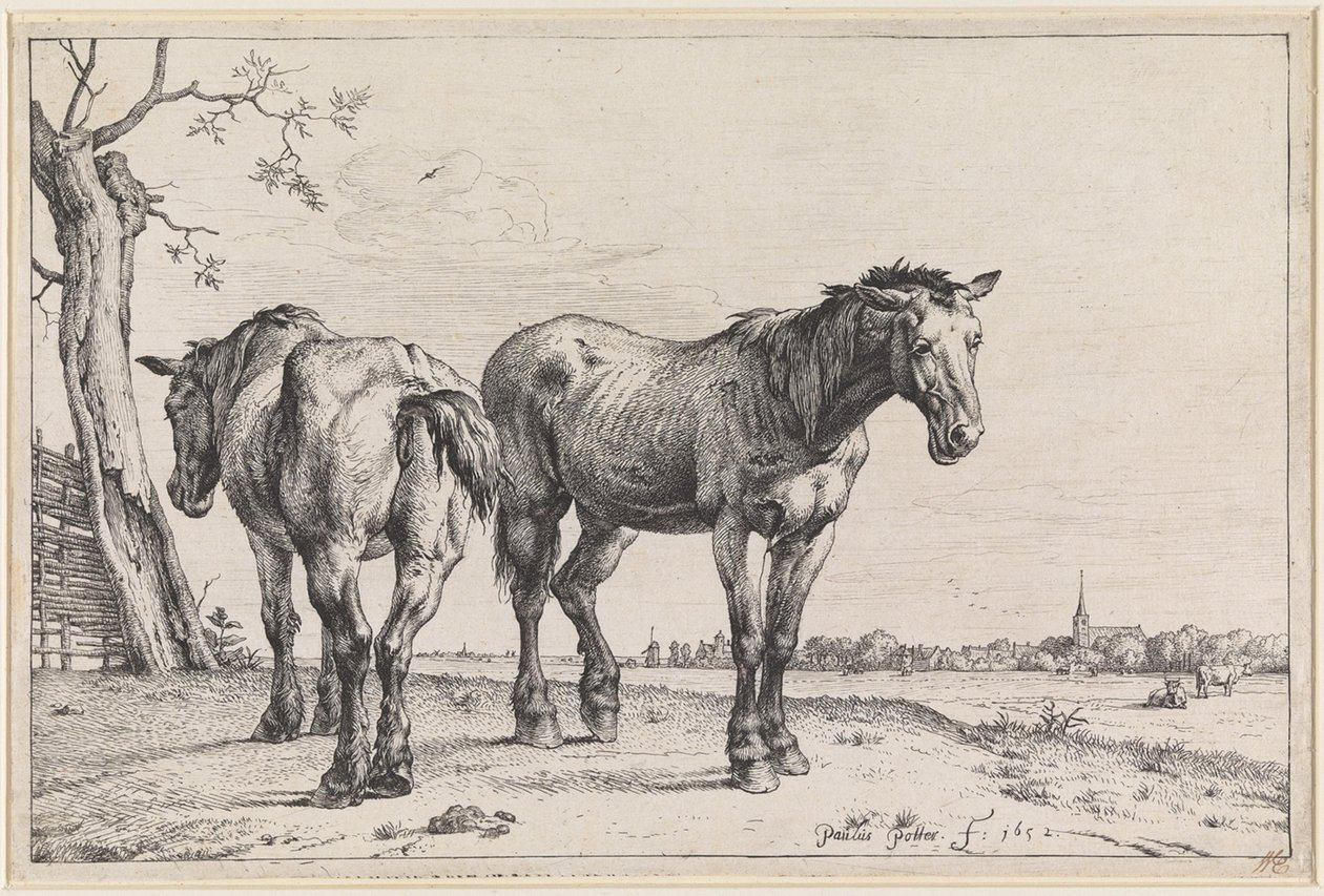 Twee ploegpaarden door Paulus Potter