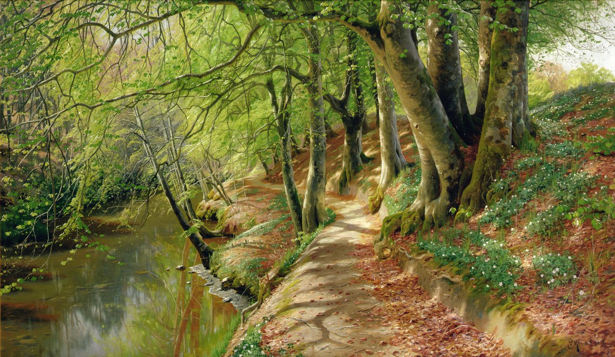 Een bebost rivierlandschap (olieverf op doek) door Peder Monsted