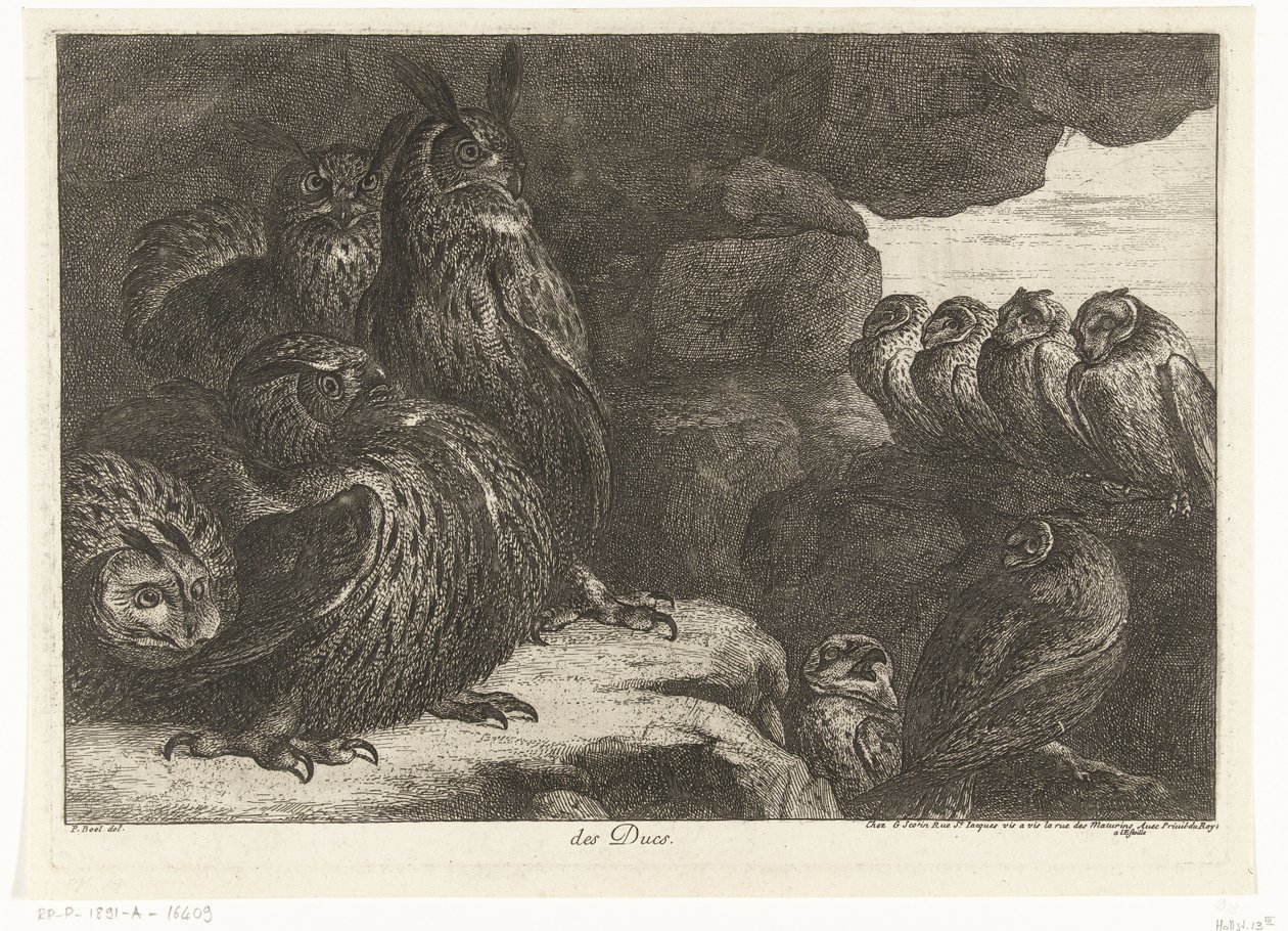 Uilen in een grot door Peeter Boel (attributed to)
