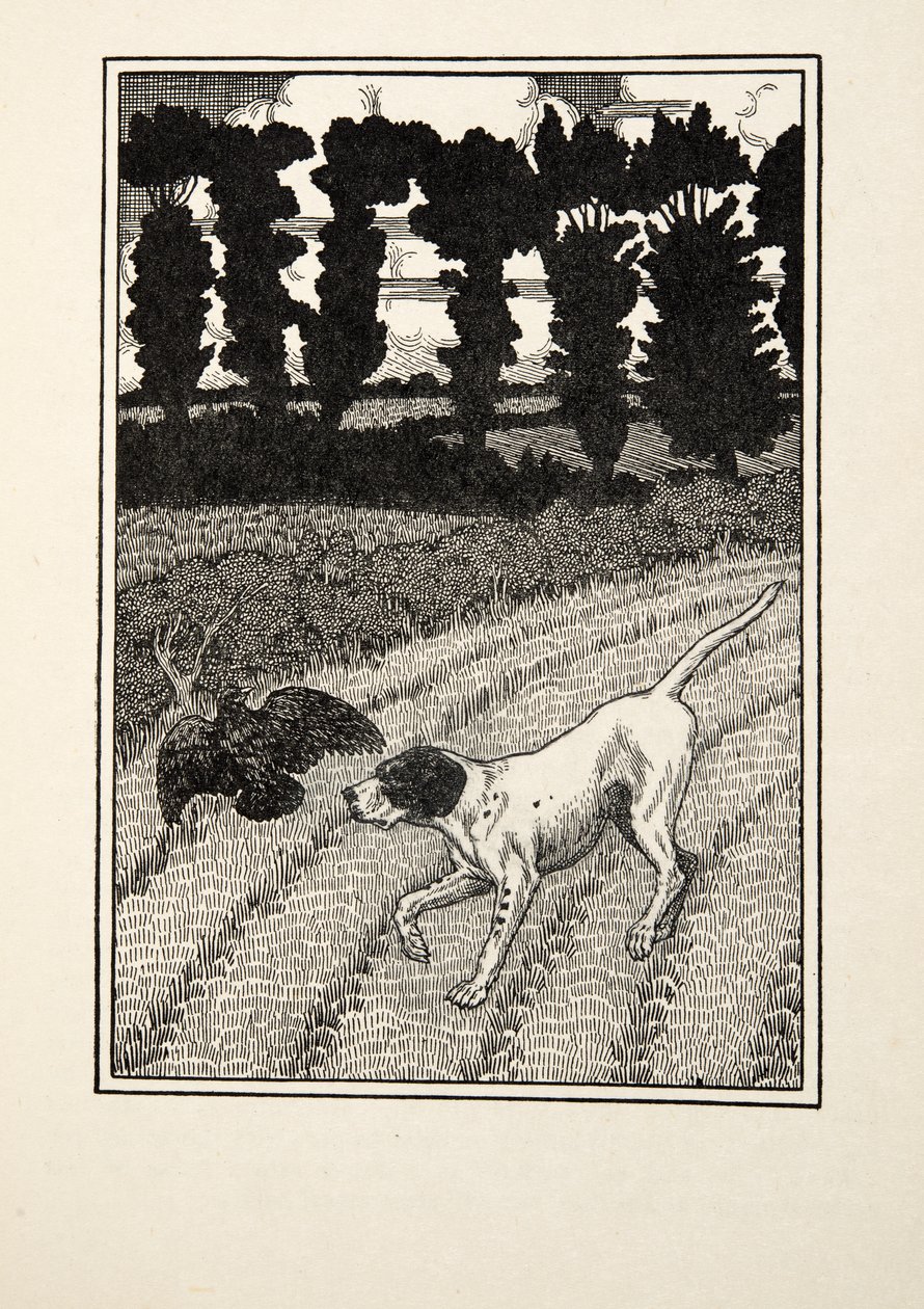 De jager misleiden, uit Honderd anekdotes van dieren, pub. 1924 door Percy J. Billingshurst