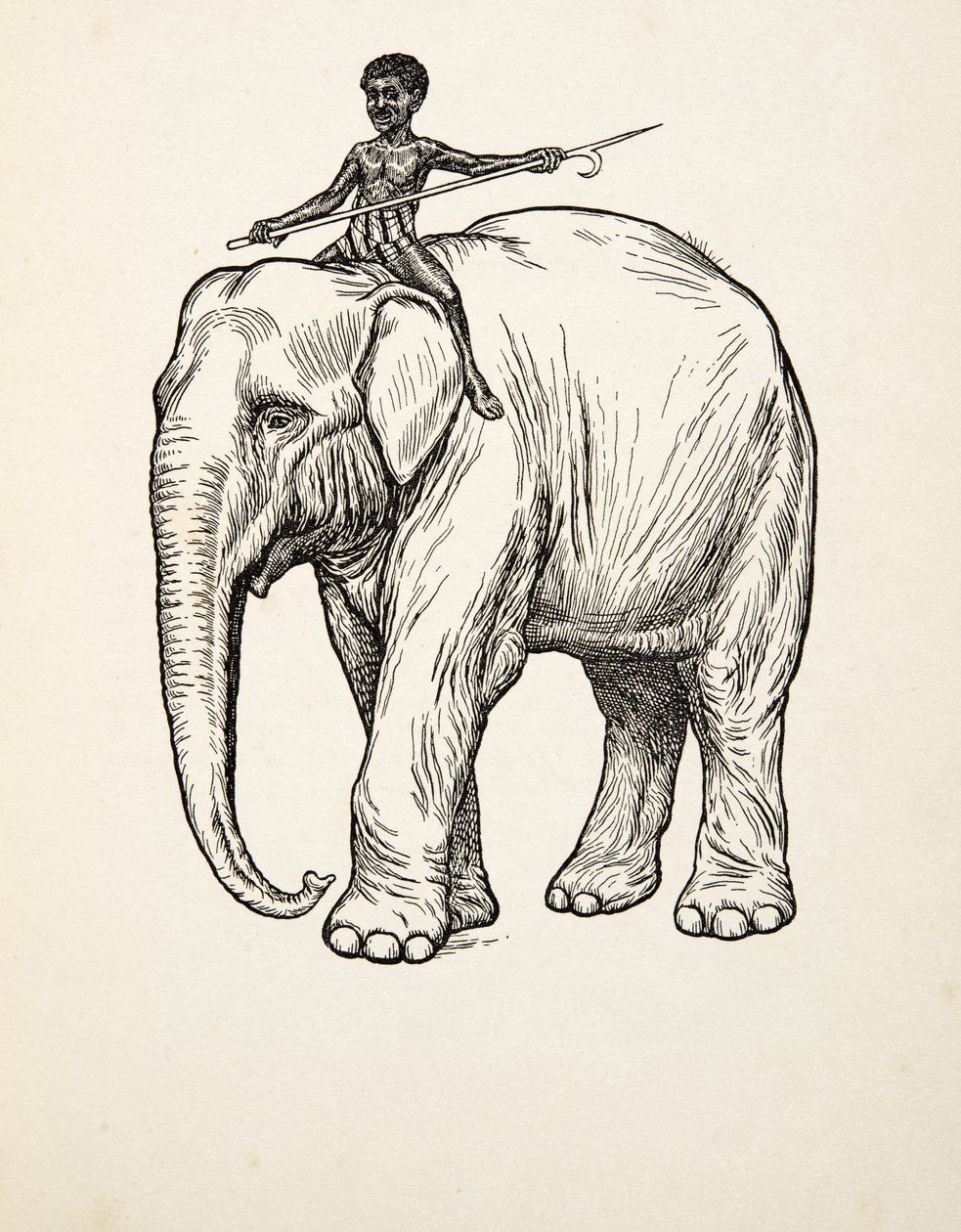 Wroeging, uit Honderd Anekdotes van Dieren, uitgegeven 1924 door Percy J. Billingshurst