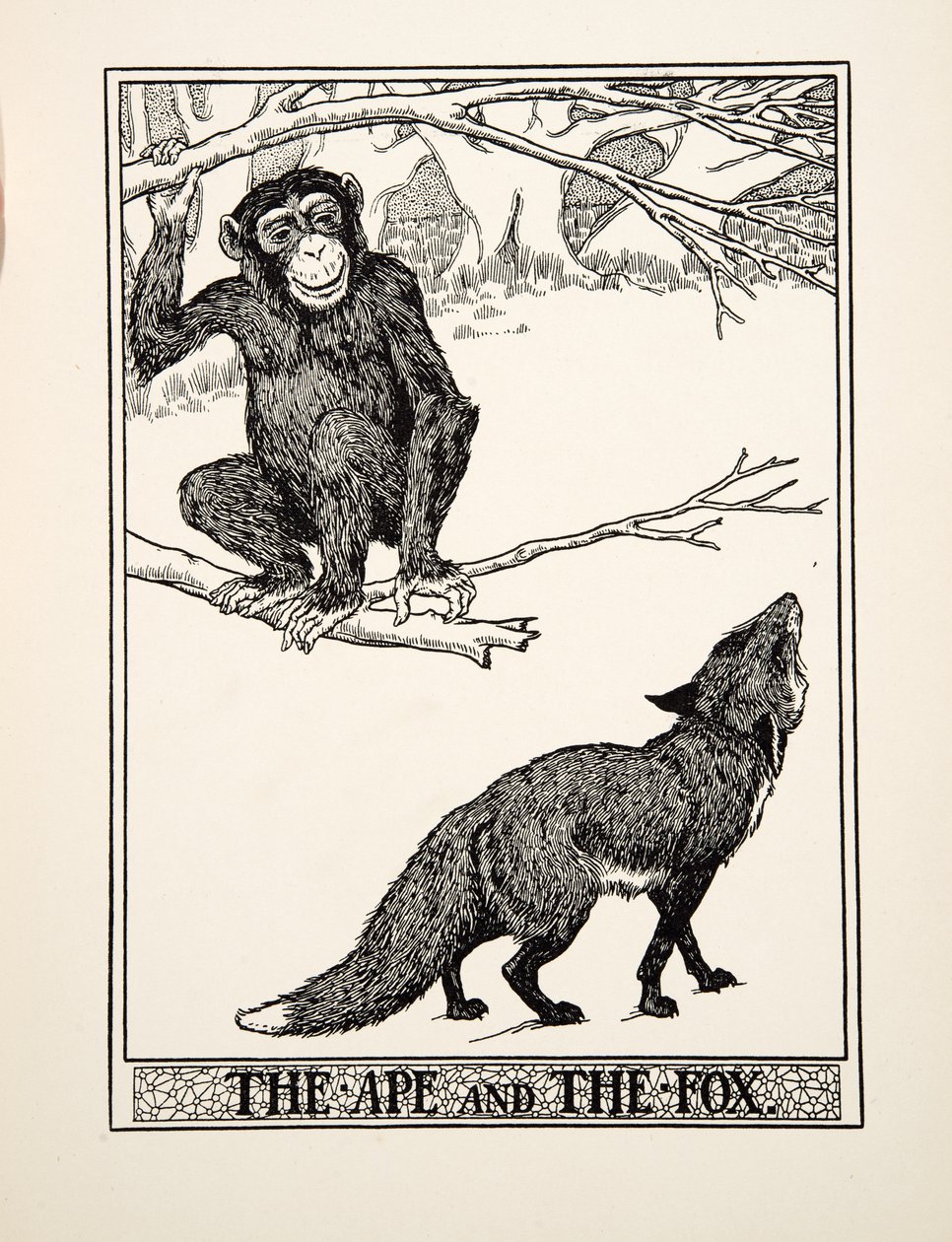 De aap en de vos, uit A Hundred Fables of Aesop, uitgegeven 1903 (gravure) door Percy J. Billingshurst