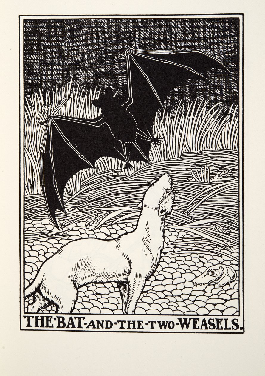 De vleermuis en de twee wezels, uit Fontaine Fabels, uitgegeven 1905 door Percy J. Billingshurst