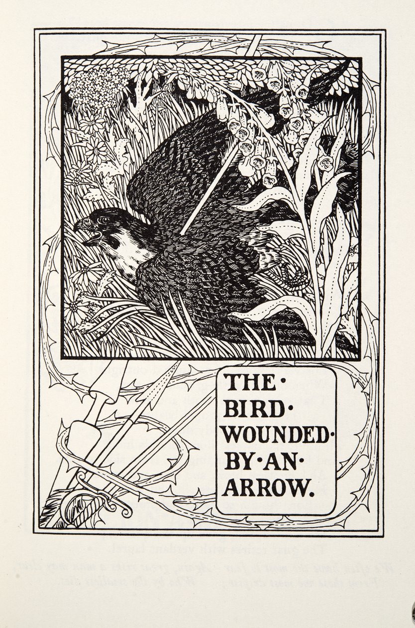 De vogel gewond door een pijl, uit Fontaine Fabels, uitgegeven 1905 door Percy J. Billingshurst