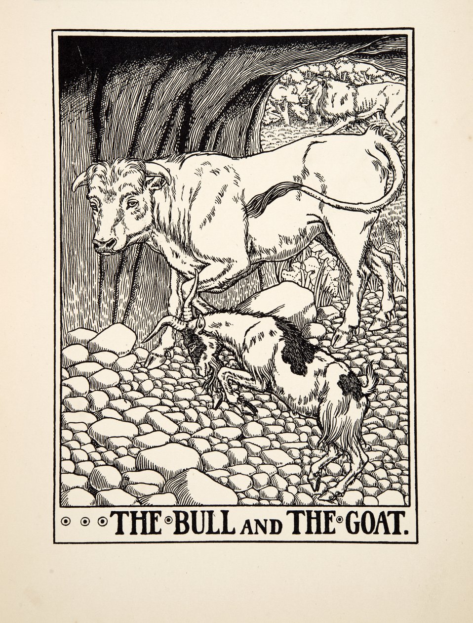 De Stier en de Geit, uit Honderd Fabels van Aesopus, uitgegeven 1903 (gravure) door Percy J. Billingshurst