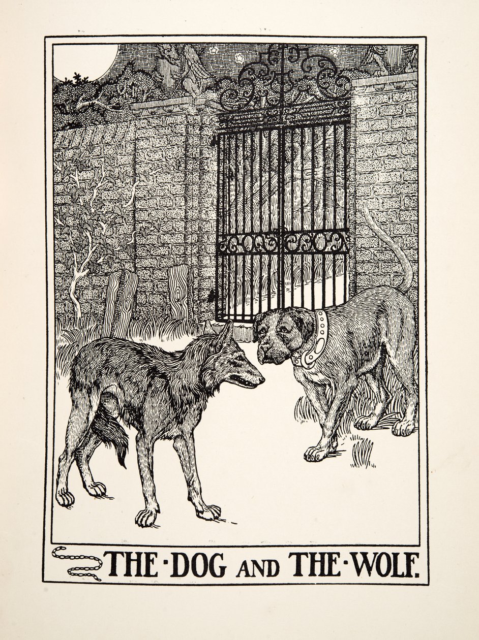 De Hond en de Wolf, uit Honderd Fabels van Aesopus, uitgegeven 1903 (gravure) door Percy J. Billingshurst