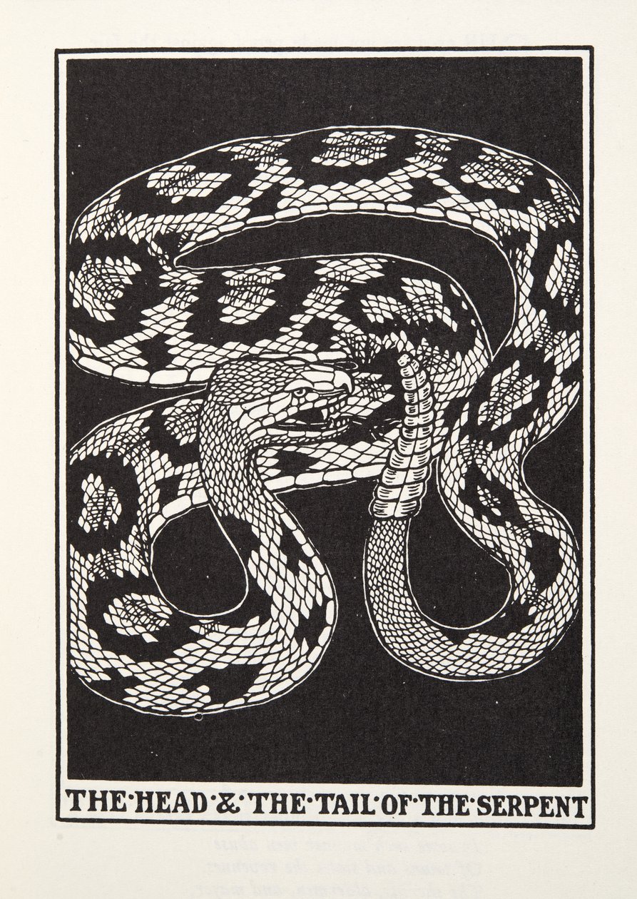 Het hoofd en de staart van de slang, uit Fontaine Fabels, pub. 1905 door Percy J. Billingshurst