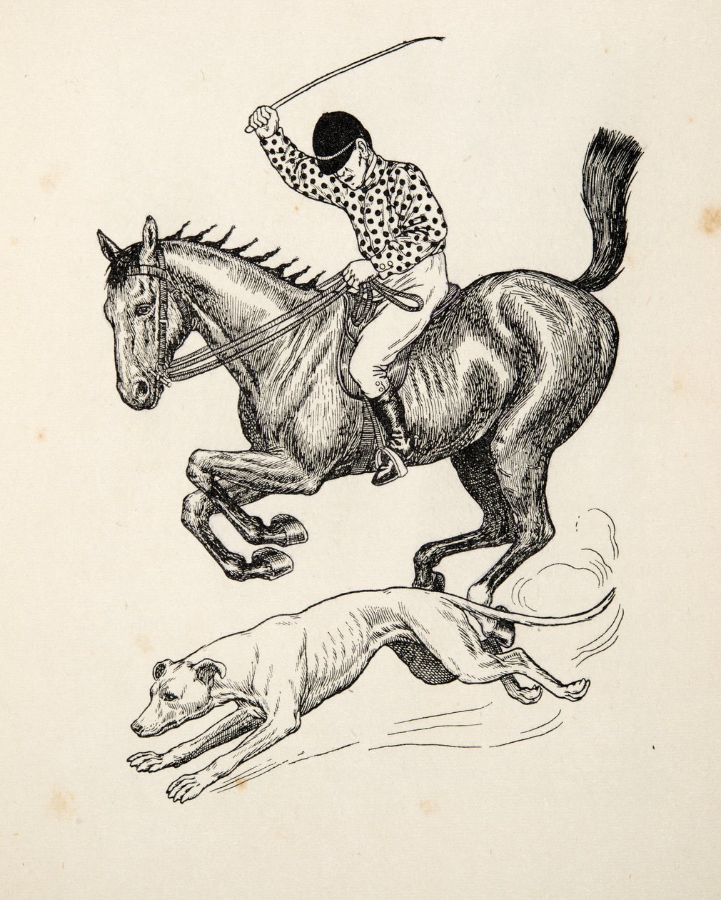Het Paard en de Windhond, uit Honderd Anekdotes van Dieren, uitgegeven 1924 door Percy J. Billingshurst
