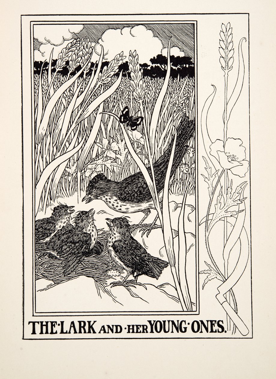 De leeuwerik en haar jongen, uit A Hundred Fables of Aesop, uitgegeven 1903 (gravure) door Percy J. Billingshurst