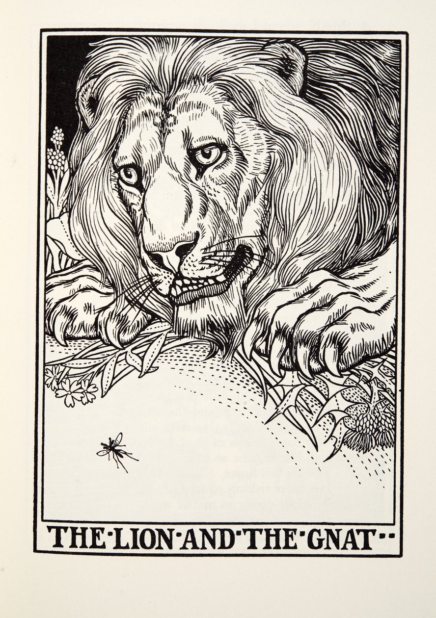 De leeuw en de mug, uit Fontaine Fabels, uitgegeven 1905 door Percy J. Billingshurst
