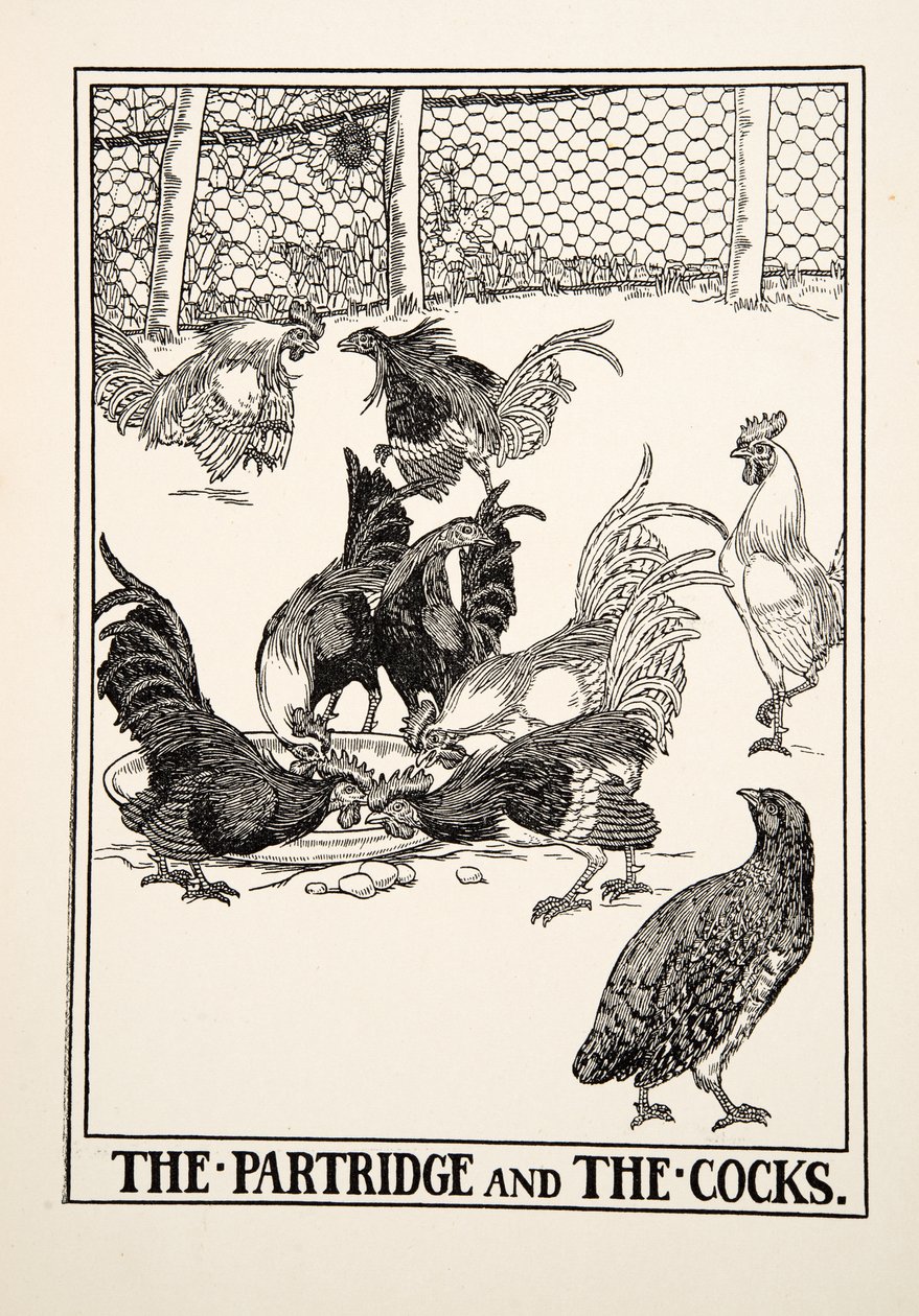 De patrijs en de hanen, uit Honderd fabels van Aesopus door Percy J. Billingshurst