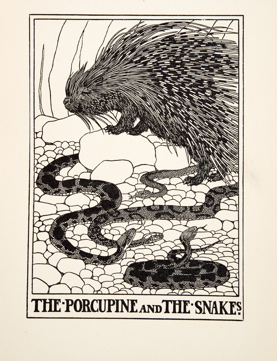 De Egel en de Slangen, uit Honderd Fabels van Aesopus, uitgegeven 1903 (gravure) door Percy J. Billingshurst
