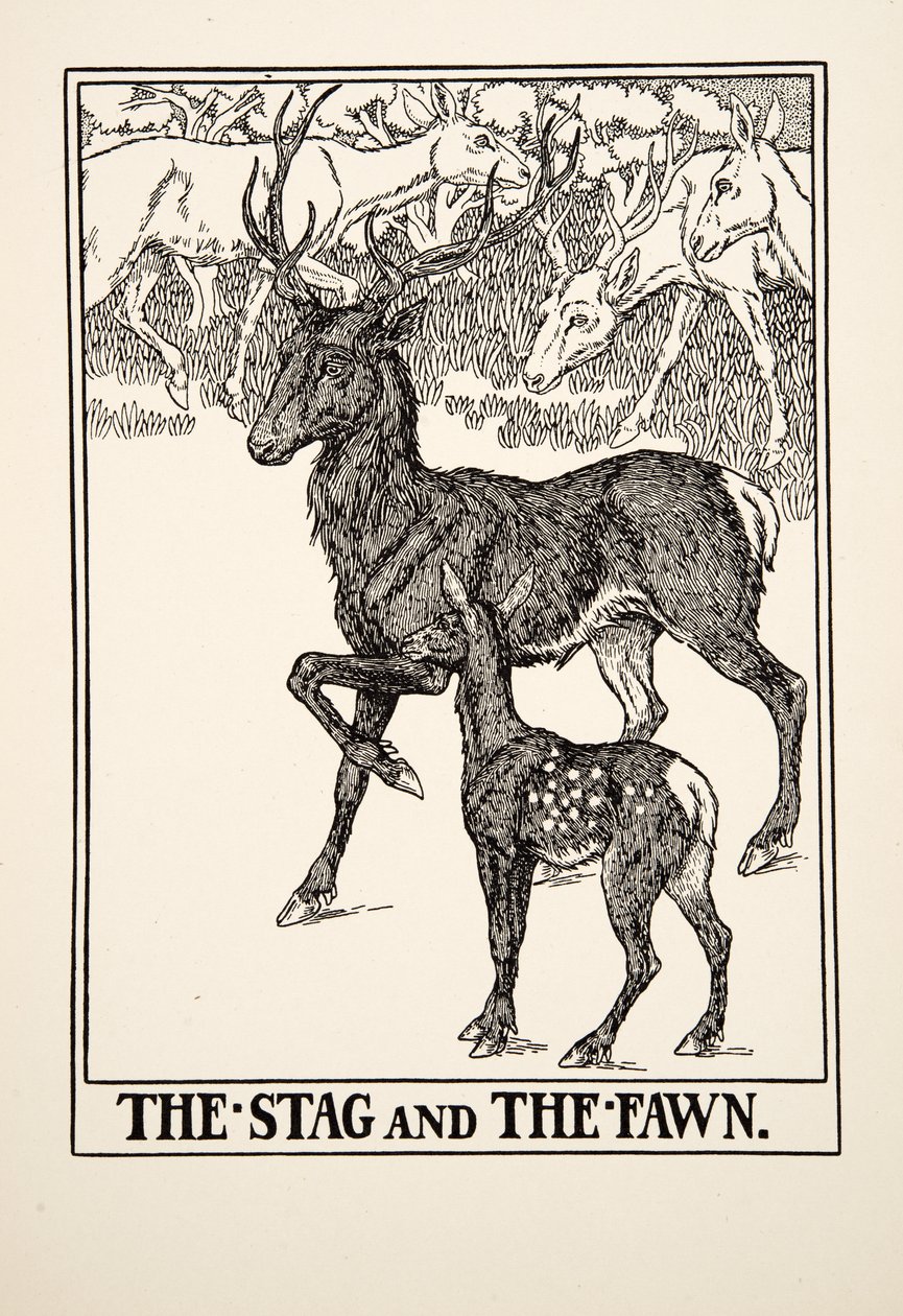 Het hert en het hertenkalf, uit Honderd fabels van Aesopus, uitgegeven 1903 door Percy J. Billingshurst