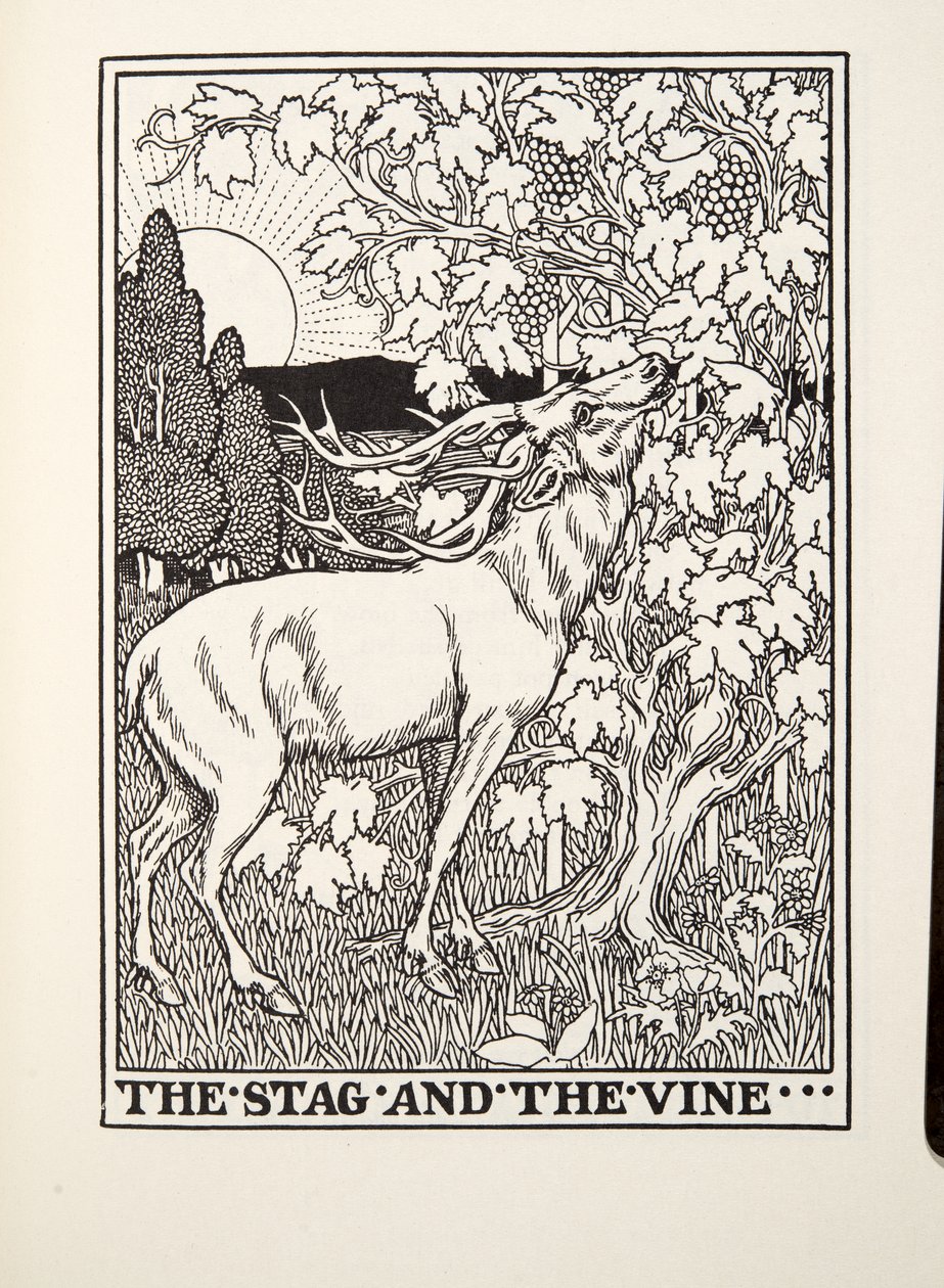 Het Hert en de Wijnstok, uit Fontaine Fabels, uitgegeven 1905 door Percy J. Billingshurst