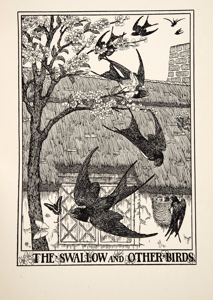 De zwaluw en andere vogels, uit Honderd fabels van Aesopus door Percy J. Billingshurst