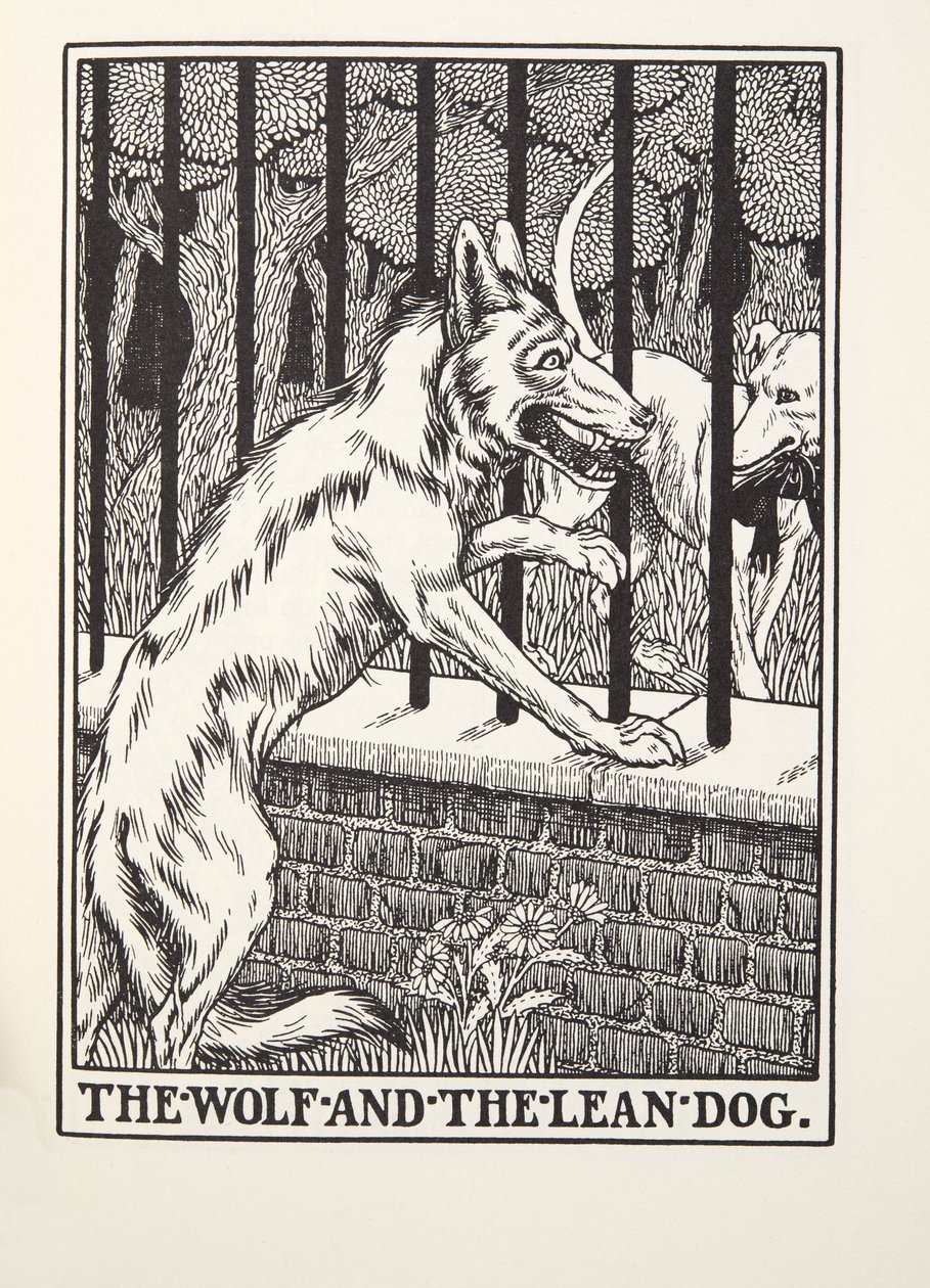 De wolf en de magere hond, uit Fontaine Fabels, uitgegeven 1905 (gravure) door Percy J. Billingshurst