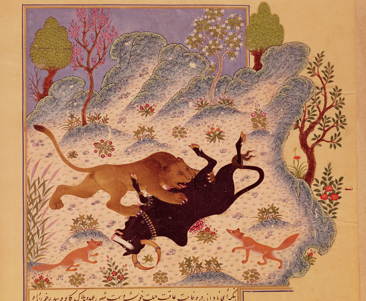 Een leeuw die een stier aanvalt en doodt, uit een Kabila wa Dimna-manuscript door Persian School