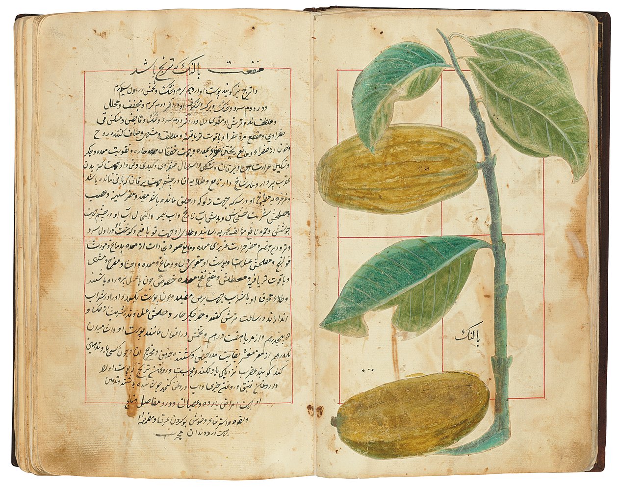 Hassan Bin Baqir Bin Jarrah: Gulzar Al-Rayahin, Qajar Iran door Persian School