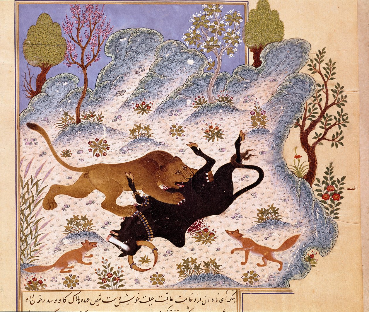 Leeuw die een stier aanvalt Pagina van een Kalila en Dimna door Persian School