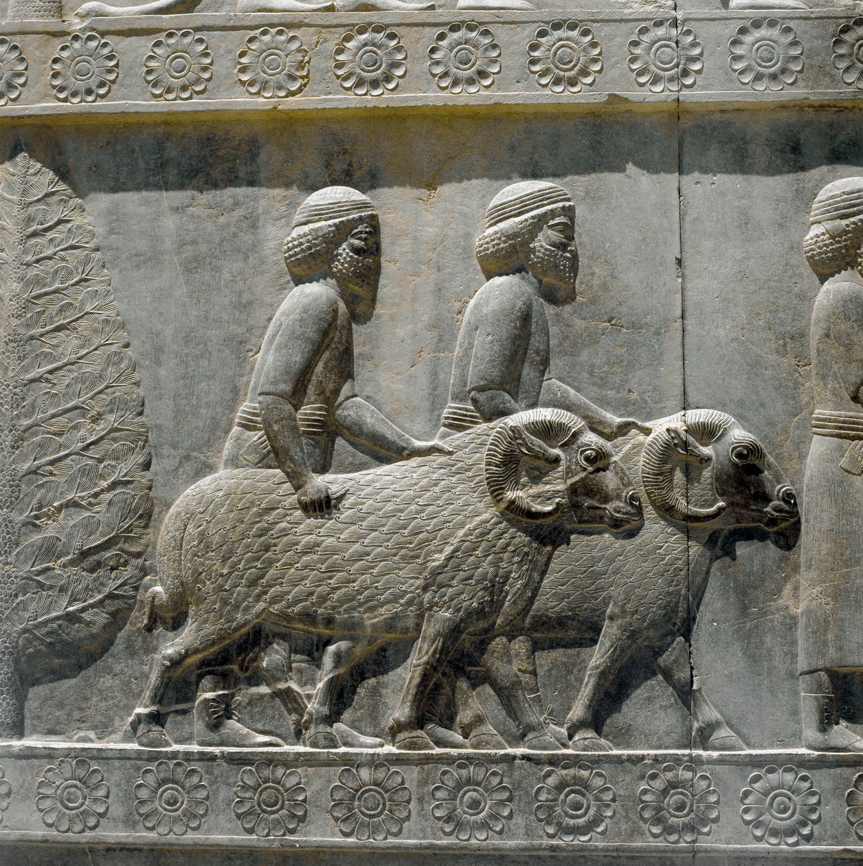 Sogdiërs brengen geschenken aan Darius I. Reliëfs van de oostelijke trap van de Apadana, 6e eeuw v.Chr. door Persian School