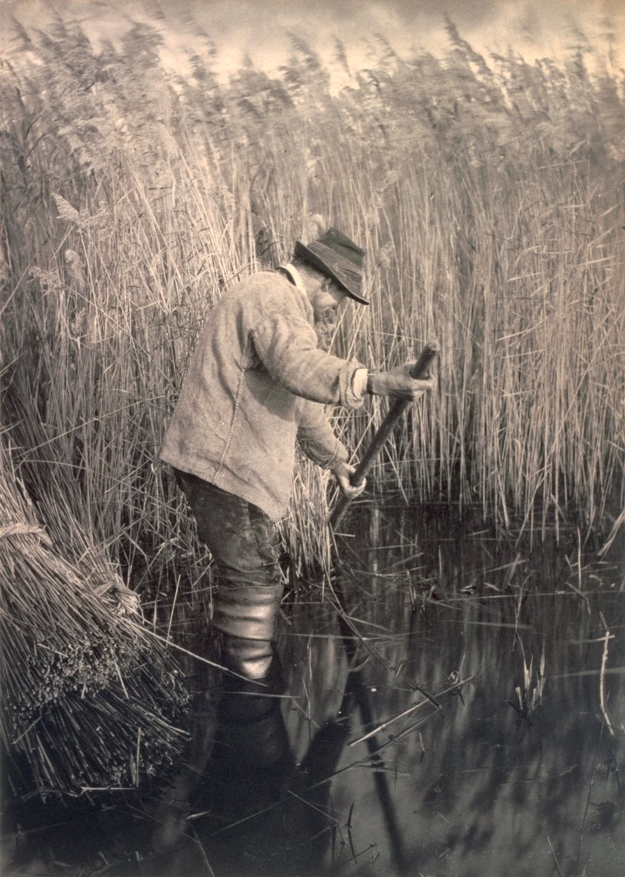 Een rietsnijder aan het werk, leven en landschap op de Norfolk Broads, c.1886 door Peter Emerson und Thomas Goodall