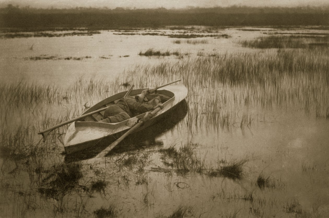Kanonier die het Gevogelte Wakker Maakt, Leven en Landschap op de Norfolk Broads, ca. 1886 door Peter Emerson und Thomas Goodall