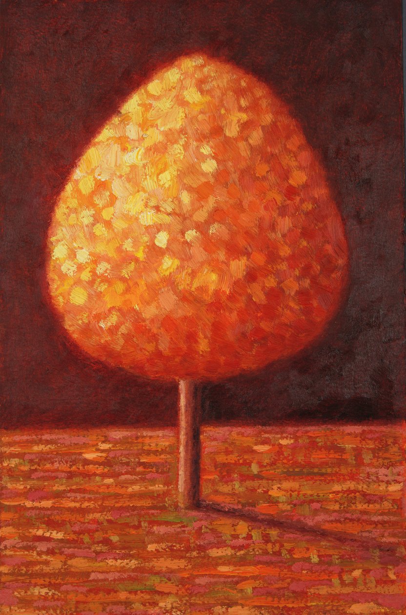 Zonovergoten Boom, 1996 door Peter Davidson