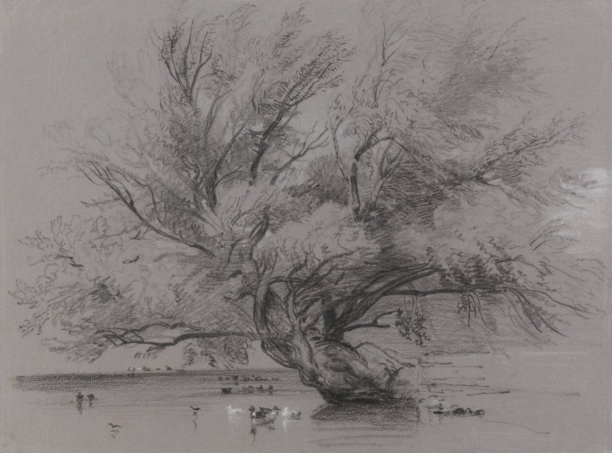 Vijver met Wilgenboom en Eenden door Peter de Wint