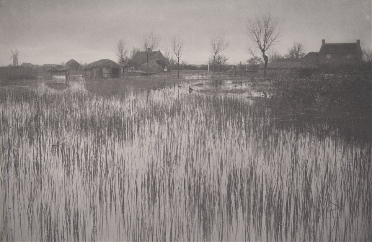 Een Rietachtige Oever, plaat XXXV uit Leven en Landschap op de Norfolk Broads door Peter Henry Emerson