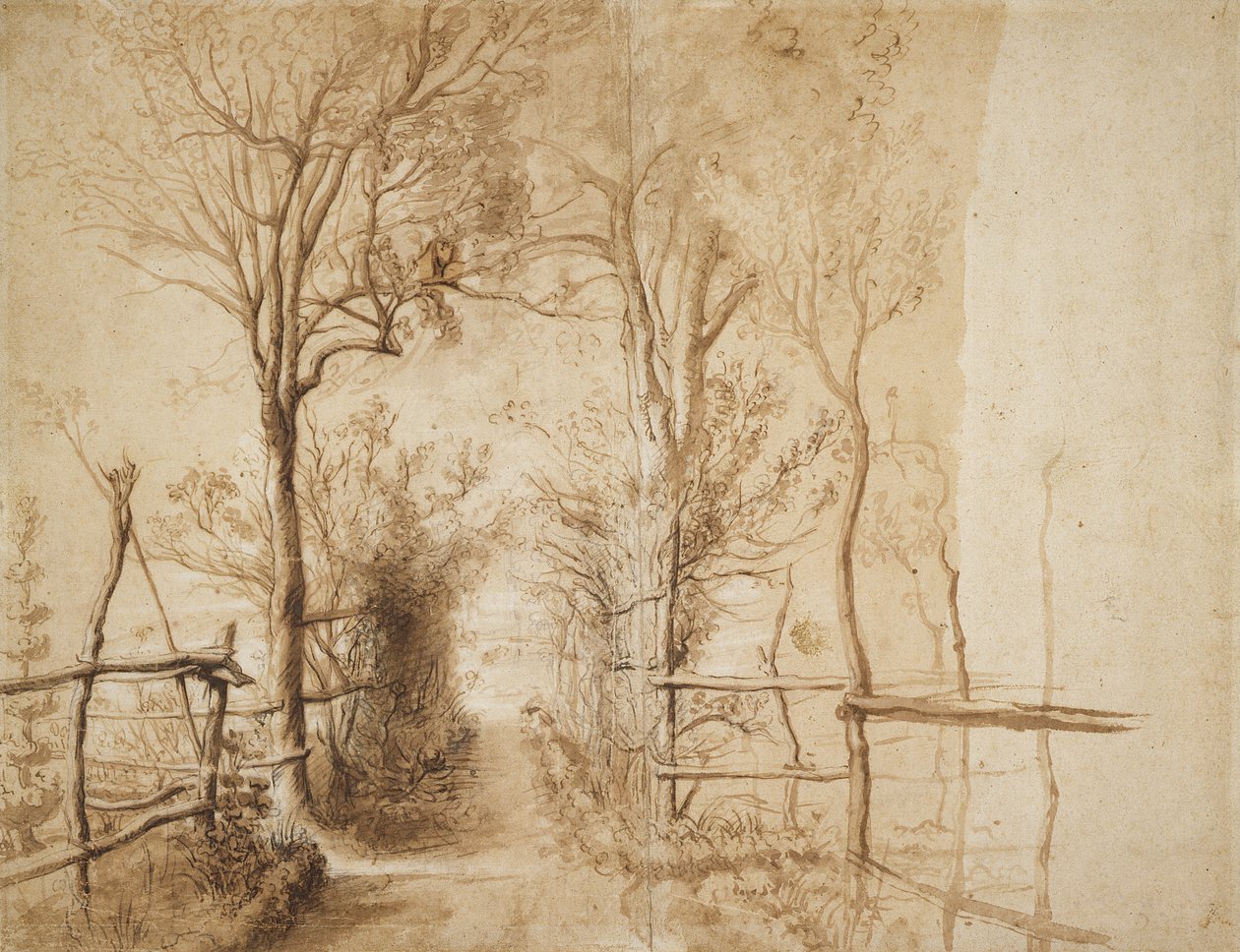 Een Pad omzoomd door Bomen door Peter Paul Rubens