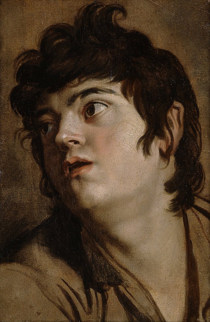 Hoofd van een Jonge Man door Peter Paul Rubens
