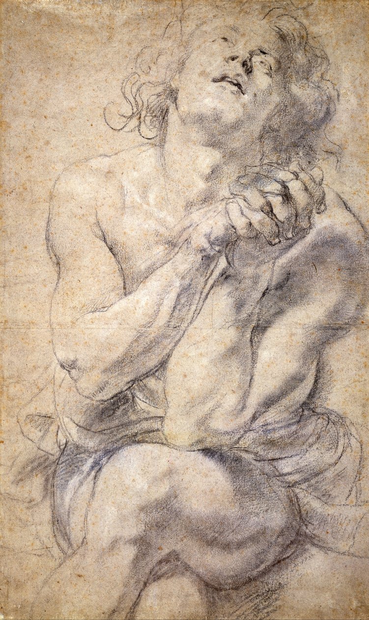 Zittende mannelijke jeugd (studie voor Daniël) door Peter Paul Rubens