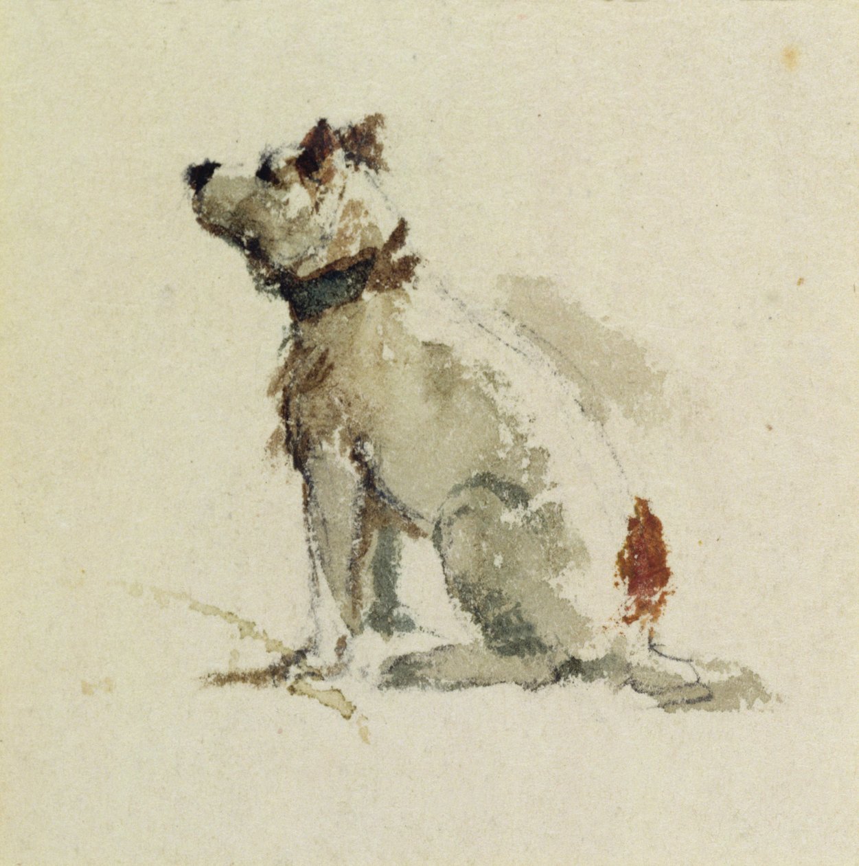 Een Terrier, zittend naar links | Peter de Wint