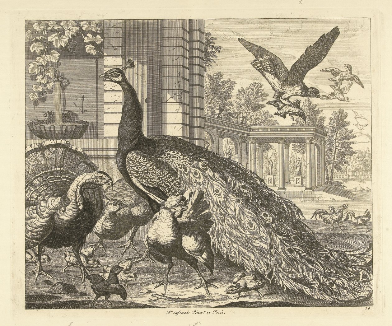 Pauw en kalkoen bij een tuincolonnade, uit de serie Verschillende vogels door Peter Casteels (III)