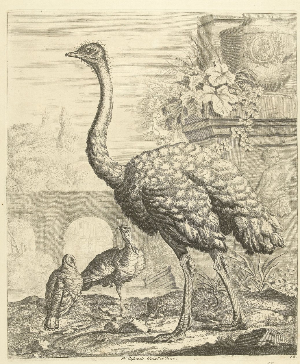 Struisvogel en kalkoenen in een tuin met antieke ruïnes door Peter Casteels (III)
