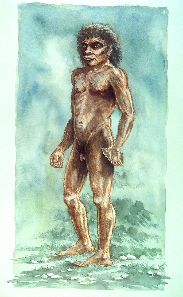 Boxgrove Man, Prehistorisch, 1990-2010 door Peter Dunn