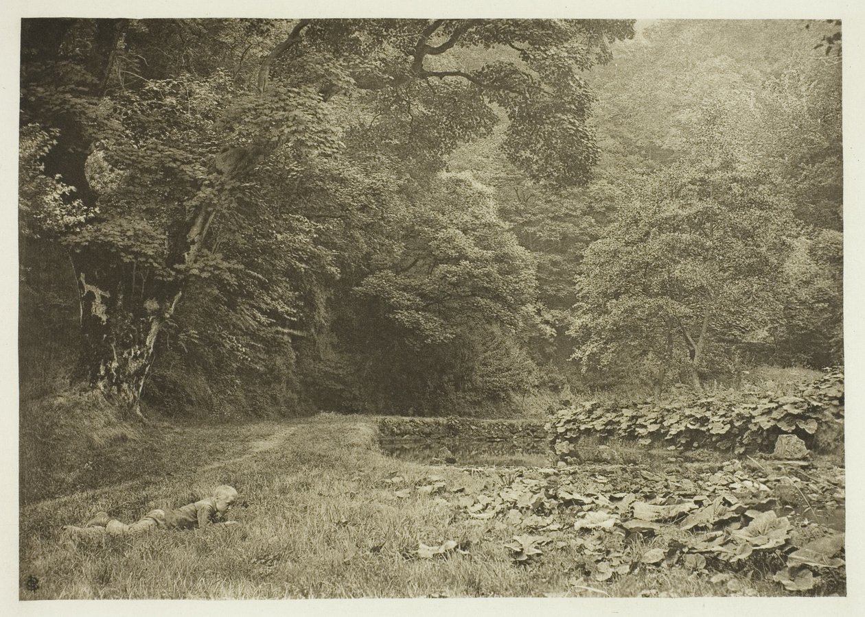 A Quiet Nook in Beresford Dale door Peter Henry Emerson