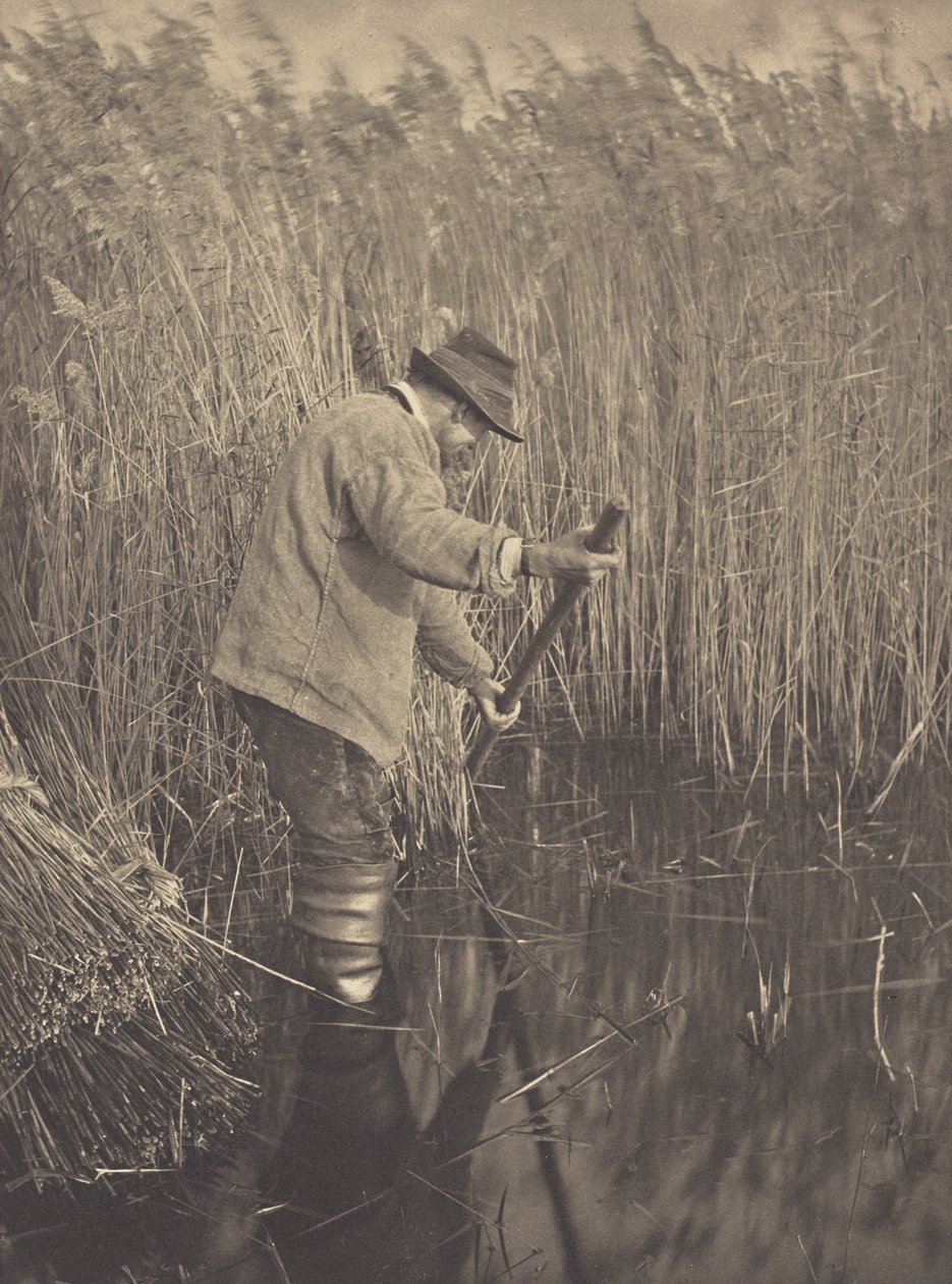 Een rietsnijder aan het werk door Peter Henry Emerson