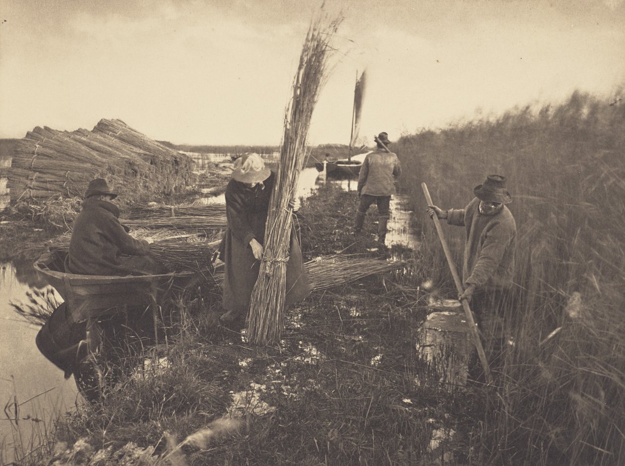 Tijdens de rietoost door Peter Henry Emerson