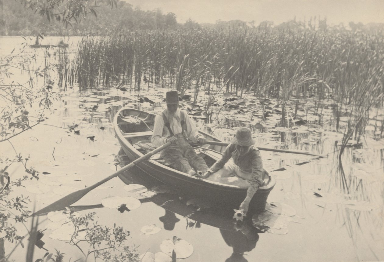 Waterlelies verzamelen,1886 (foto) door Peter Henry Emerson