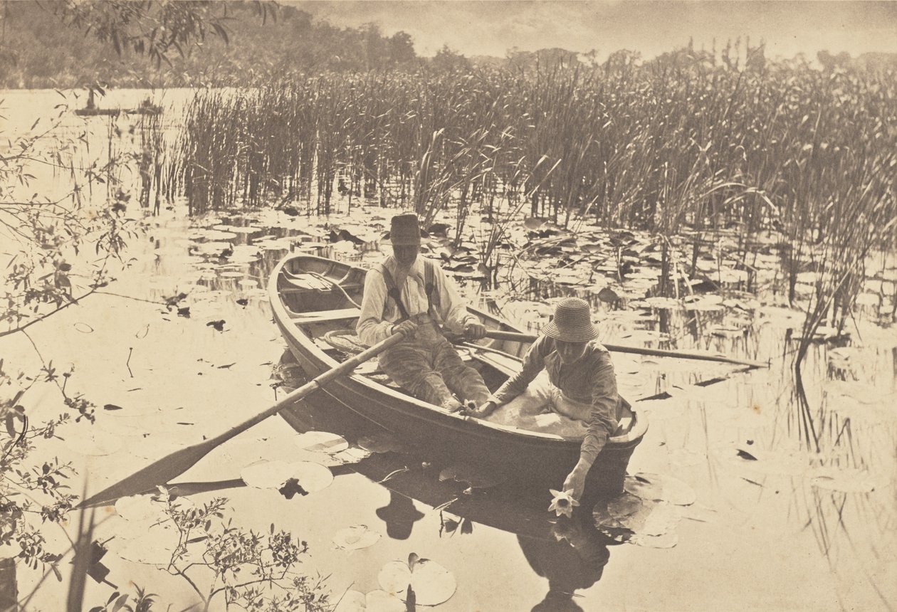 Waterlelies verzamelen door Peter Henry Emerson
