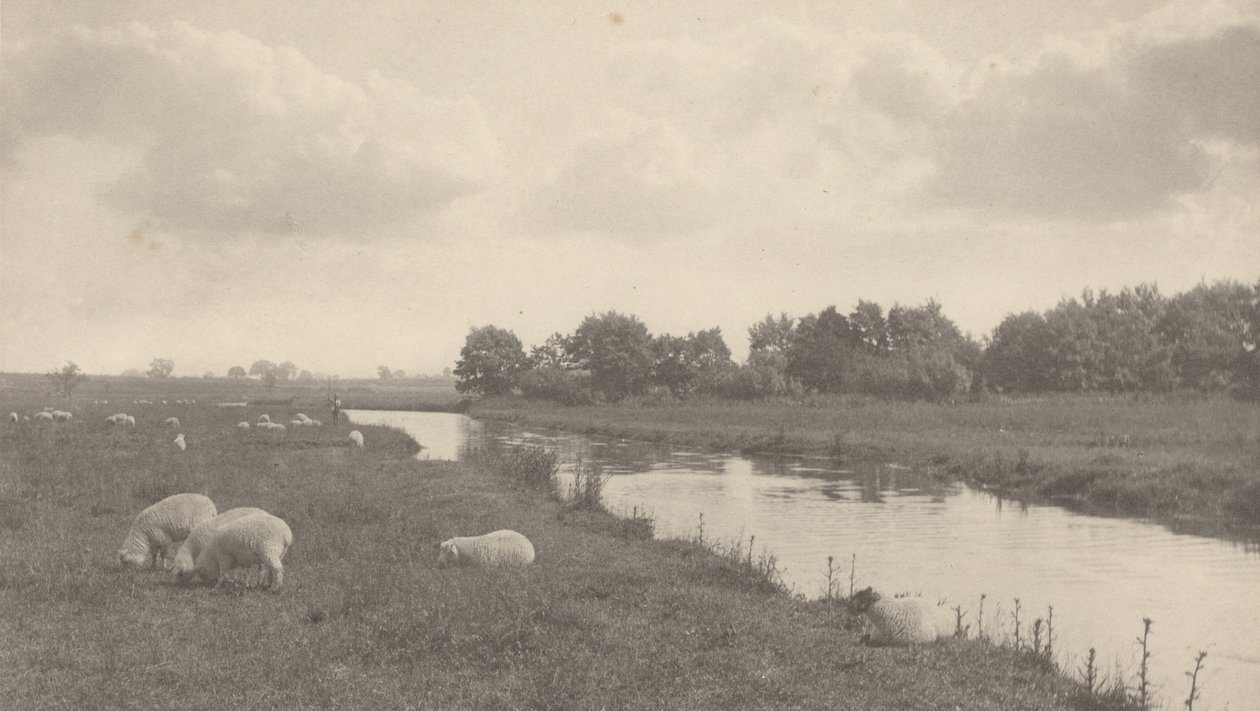 Op de rivier de Bure,1886 (foto) door Peter Henry Emerson