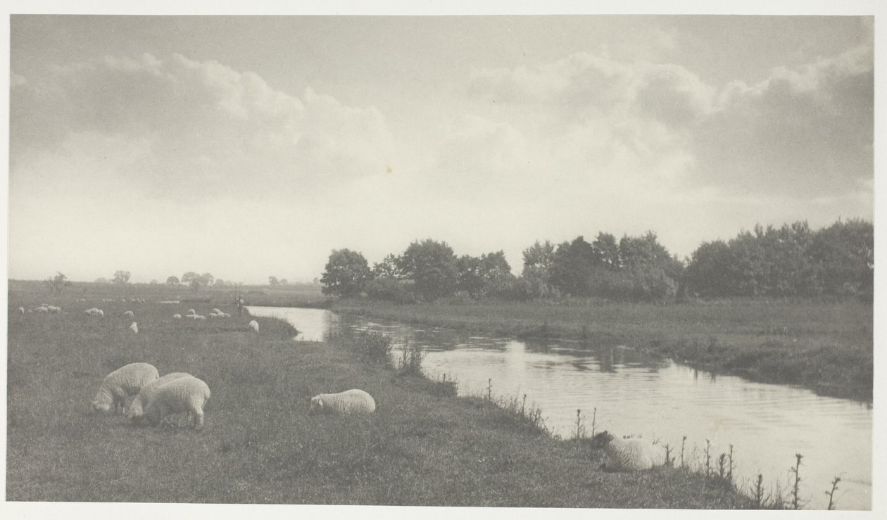 Op de rivier de Bure door Peter Henry Emerson