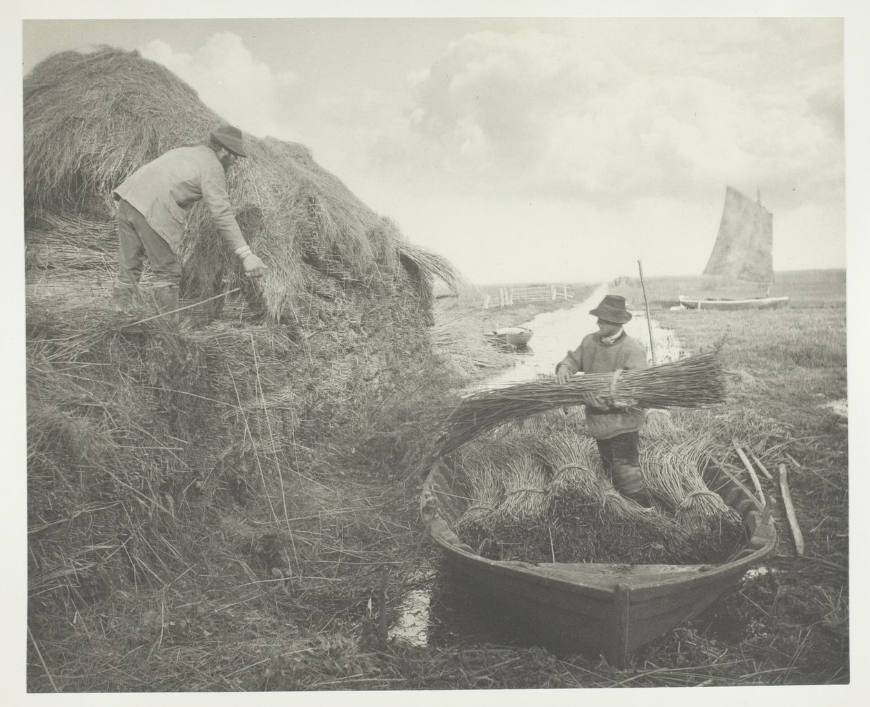 Riet harken door Peter Henry Emerson