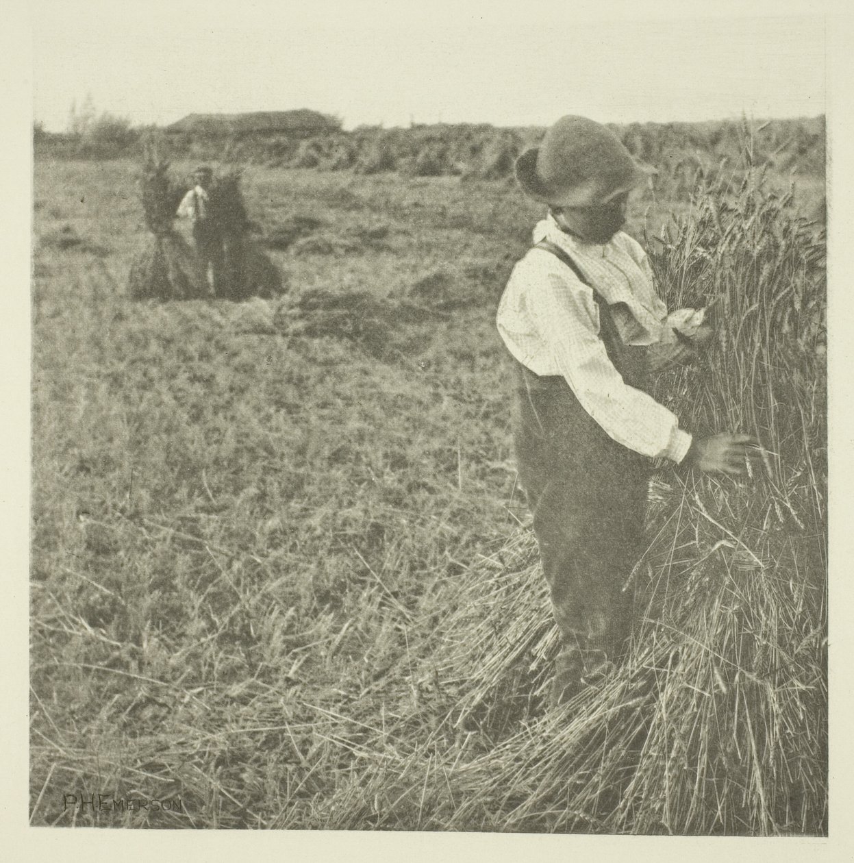 Schokkende maïs (Norfolk) door Peter Henry Emerson