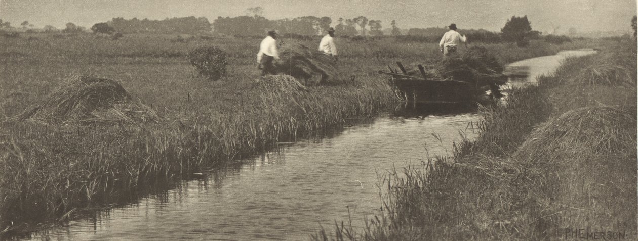 De oogst van het zeggegras door Peter Henry Emerson
