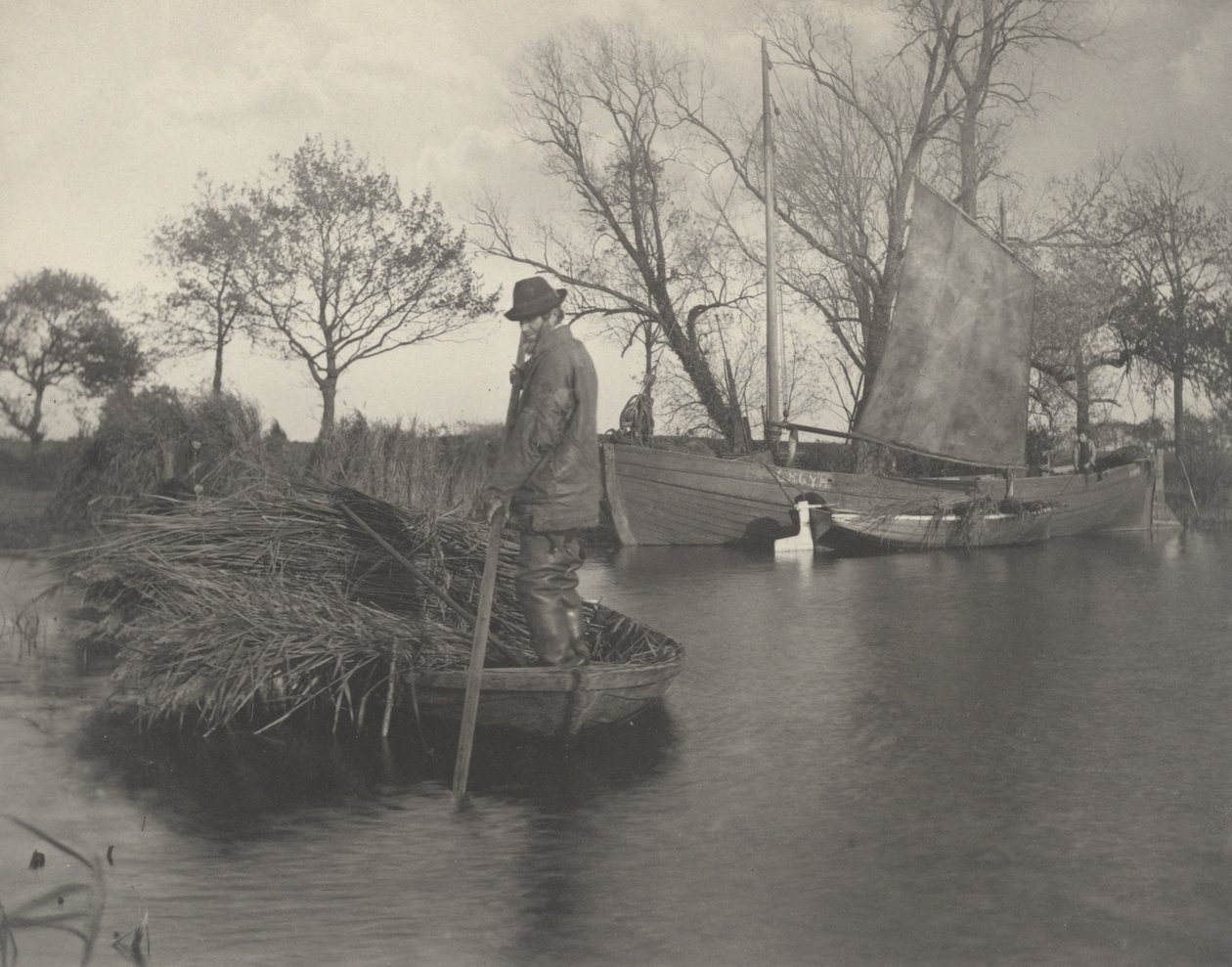 De terugkeer van de lisdodde-snijders door Peter Henry Emerson and T.F. Goodall